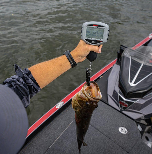 Rapala 터치스크린 토너먼트 저울 15lb 8종 컬링 시스템 2번 사진