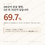 울릉읍 맛보기 1