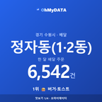 정자동(1·2동) 맛보기 1/4