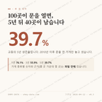 교동 맛보기 1