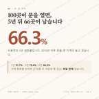 비봉면 맛보기 1