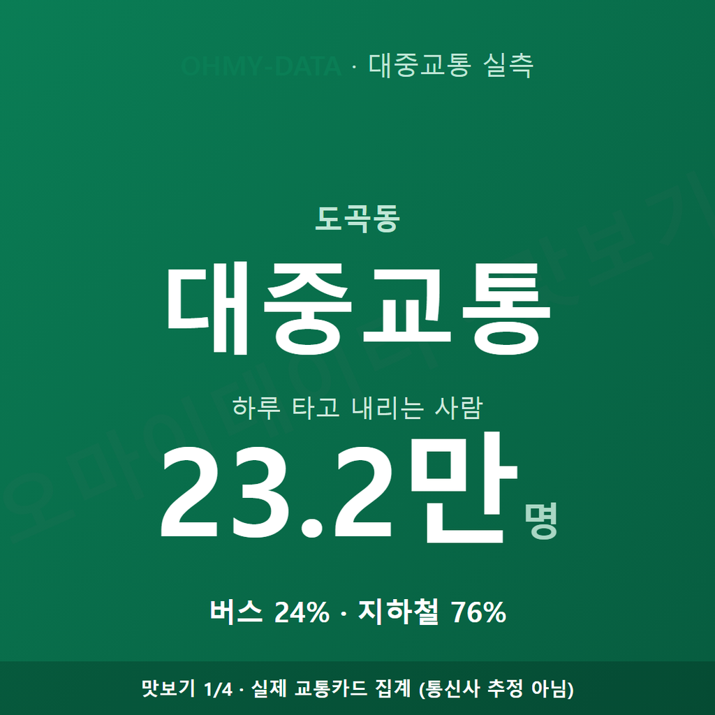 도곡동 맛보기