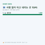 동소문동1가 맛보기