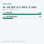 부민동1가 맛보기