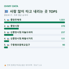 중앙로1가 맛보기