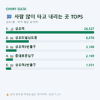 상도1동 맛보기