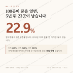압구정동 맛보기 1