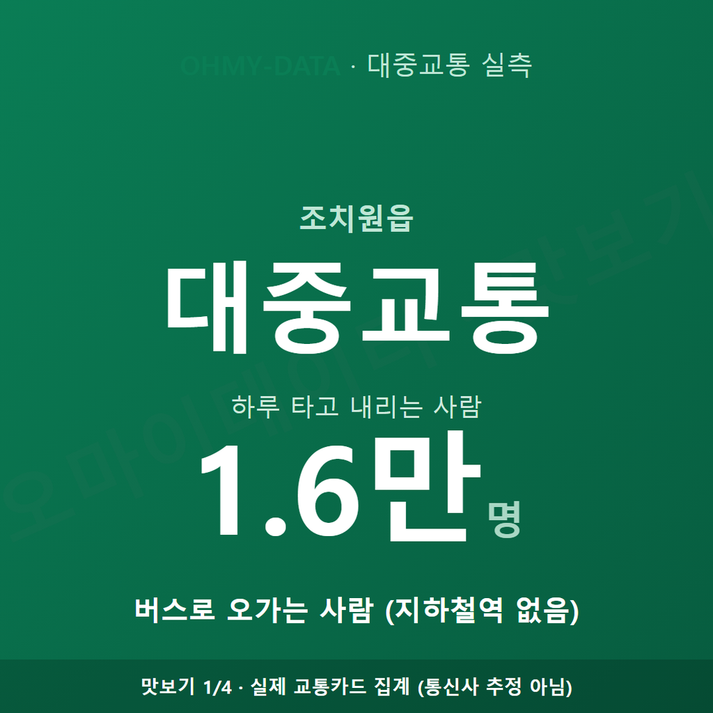 조치원읍 맛보기
