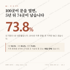 도기동 맛보기 1