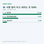 대흥동 맛보기