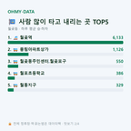 월곶동 맛보기