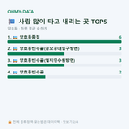 양호동 맛보기