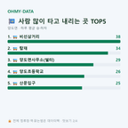 양도면 맛보기