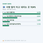 예장동 맛보기