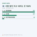 신안동 맛보기