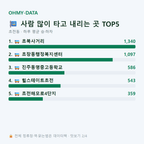 초전동 맛보기