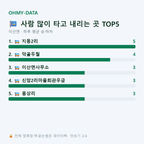 이산면 맛보기