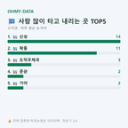 도덕면 맛보기