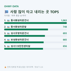 이곡동 맛보기