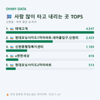 신현동 맛보기