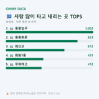 회원동 맛보기