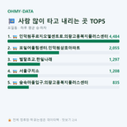 포일동 맛보기