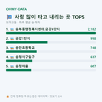 도마교동 맛보기