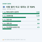 감전동 맛보기