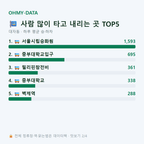 대자동 맛보기