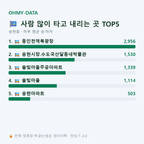 송현동 맛보기
