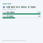 연지동 맛보기
