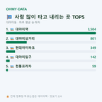 대야미동 맛보기
