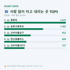 송촌동 맛보기