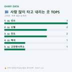 고전면 맛보기