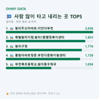 원미동 맛보기