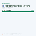 송현동 맛보기