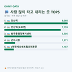 원곡동 맛보기