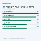 김화읍 맛보기