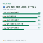 청호동 맛보기