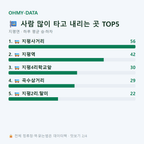 지평면 맛보기