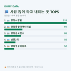 양양읍 맛보기
