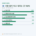 일신동 맛보기