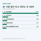 무계동 맛보기
