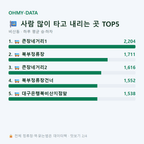 비산동 맛보기