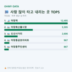 마장동 맛보기