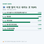 영화동 맛보기