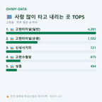 고현동 맛보기