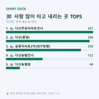 다산면 맛보기