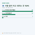 조양동 맛보기