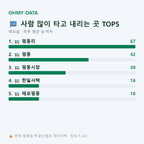 매포읍 맛보기